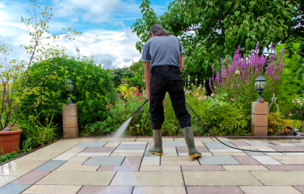 Best Boat and Dock Cleaning  in Leisuretowne, NJ